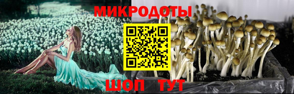 Нарткала  Псилоцибиновые грибы ЛСД  Вход с VPN 